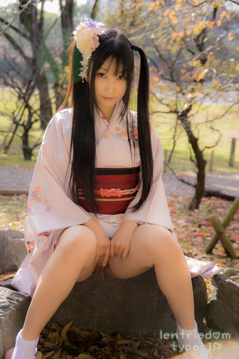 lenfriedomTypeJP_295