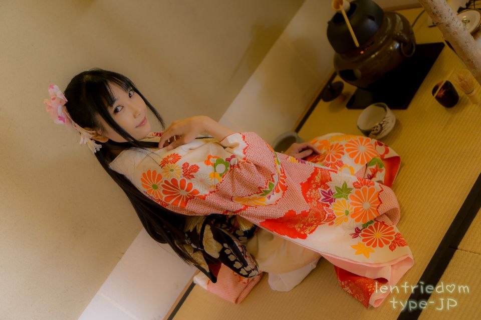 lenfriedomTypeJP_301