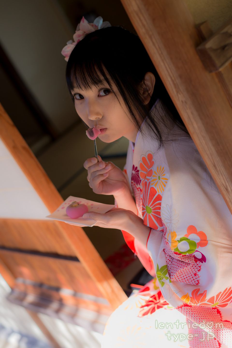 lenfriedomTypeJP_308