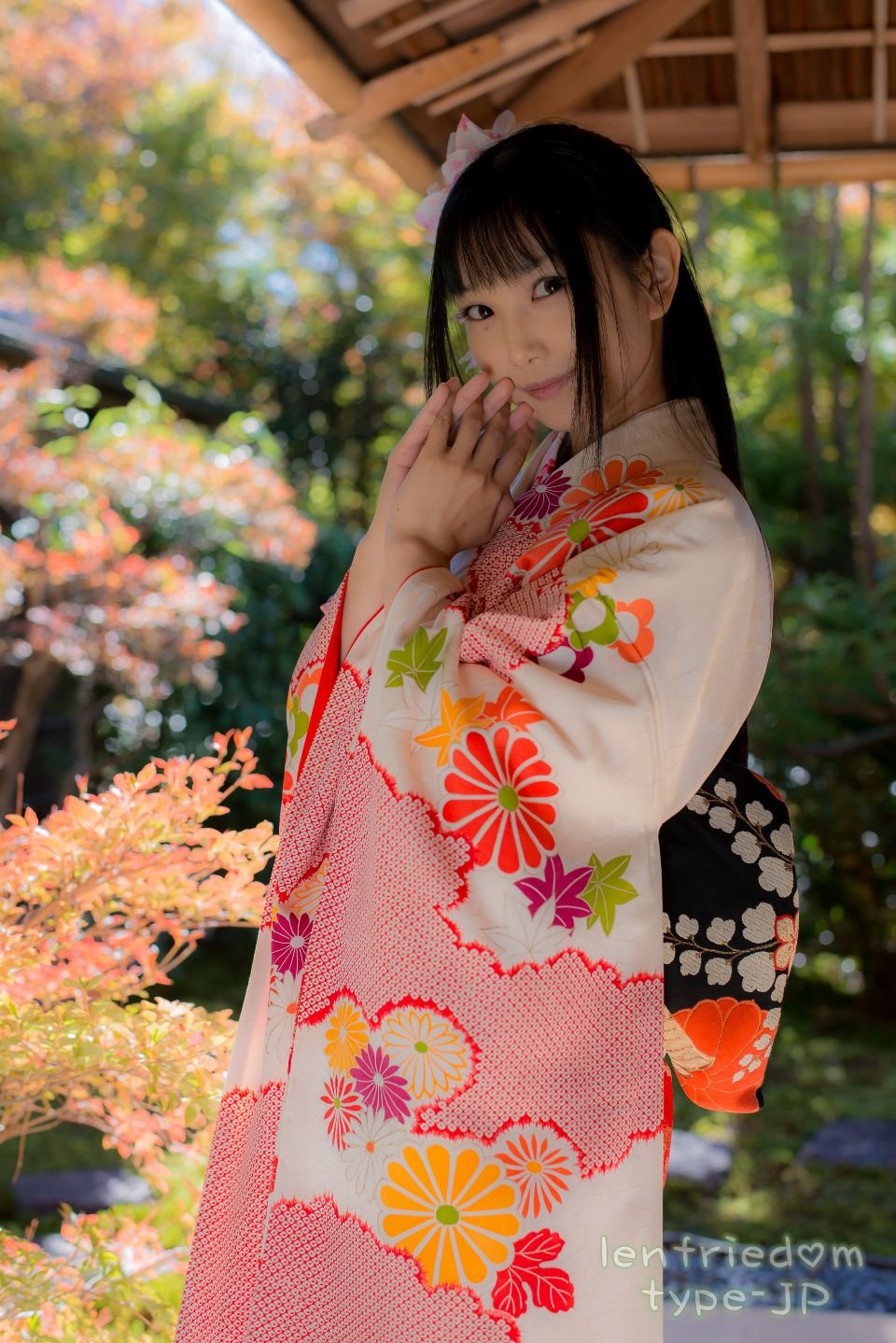 lenfriedomTypeJP_314