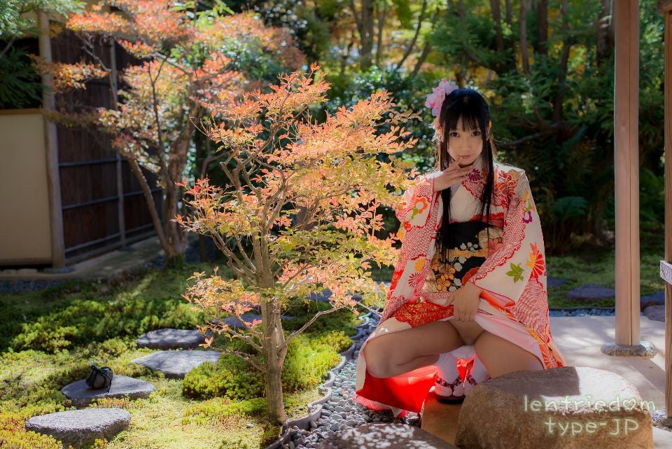 lenfriedomTypeJP_332