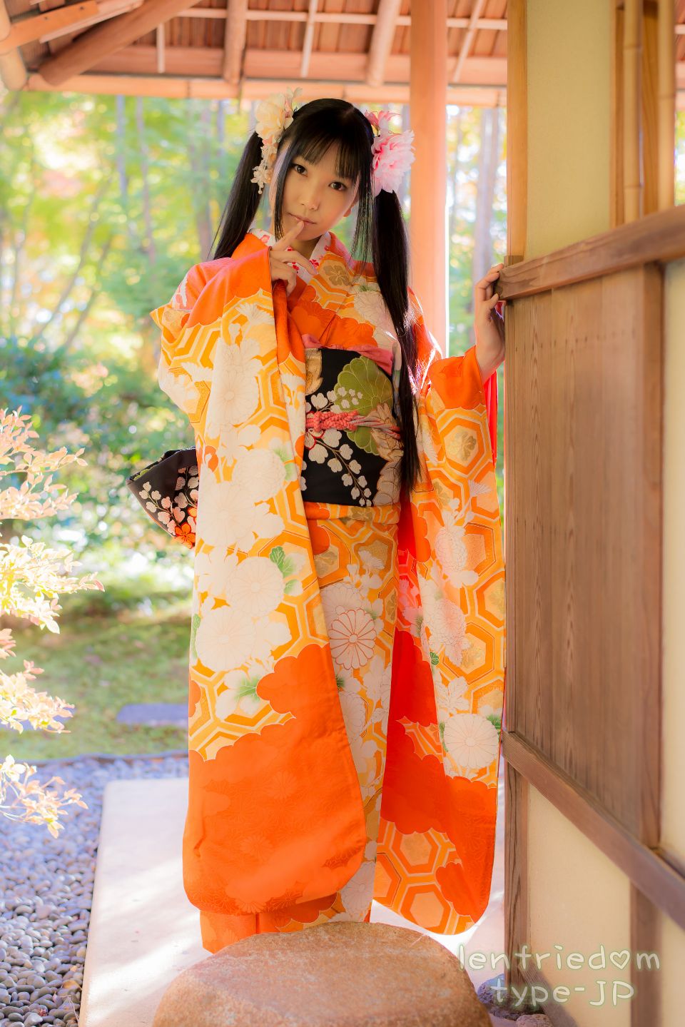 lenfriedomTypeJP_387