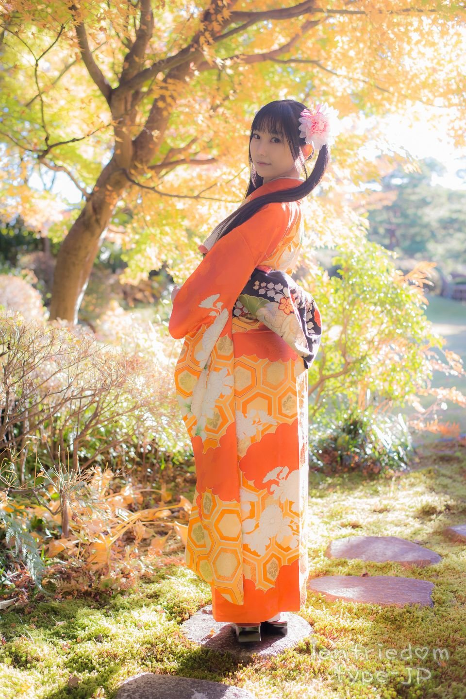 lenfriedomTypeJP_405