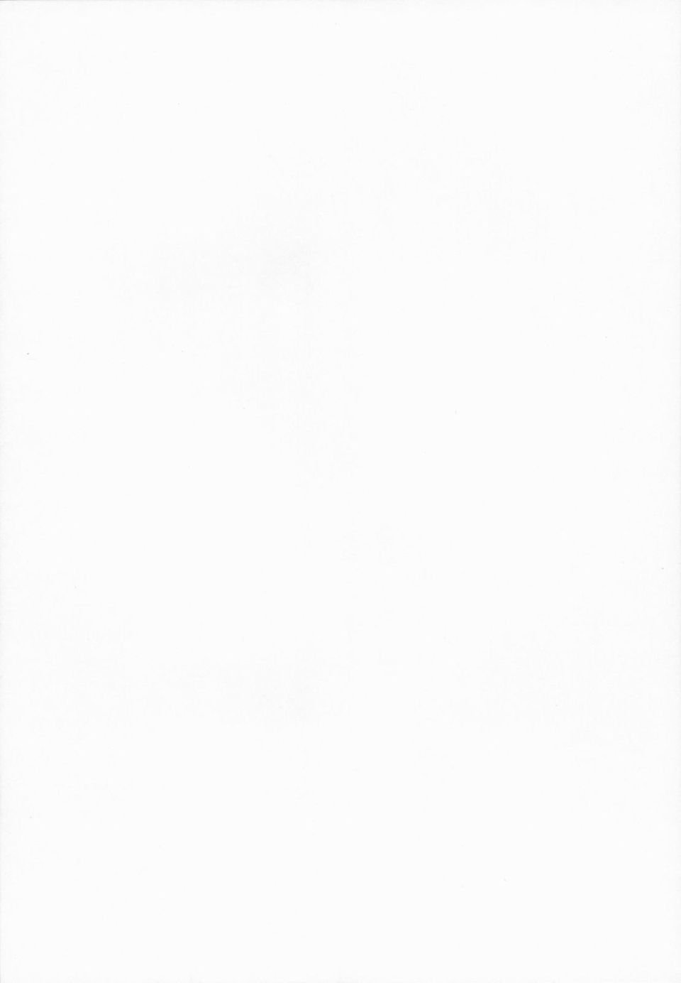 CE_965_003_1