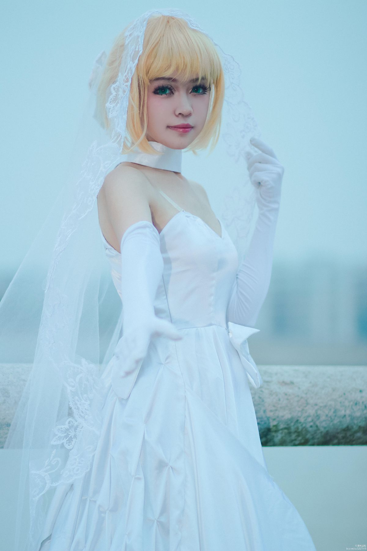 FateZero (3)