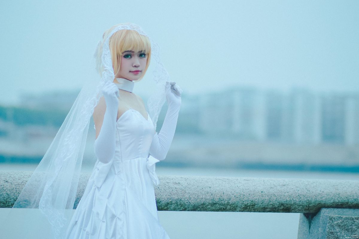 FateZero (1)