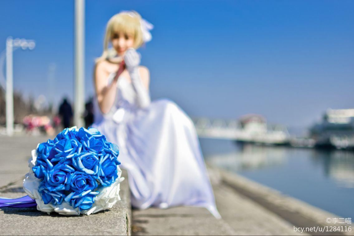 saber花嫁 (14)