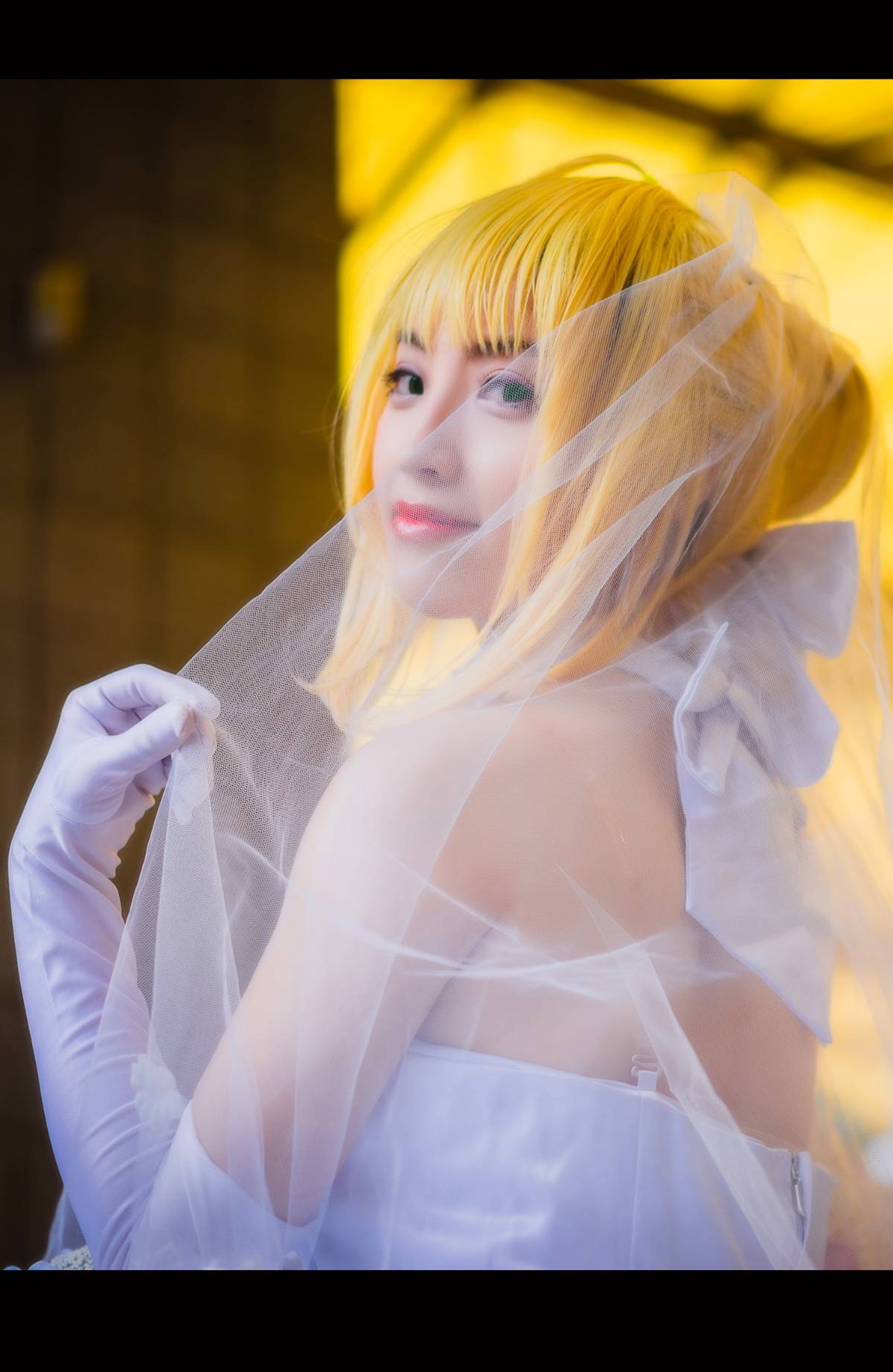 Saber 十周年婚纱手办~攒人品抽黑贞! (15)
