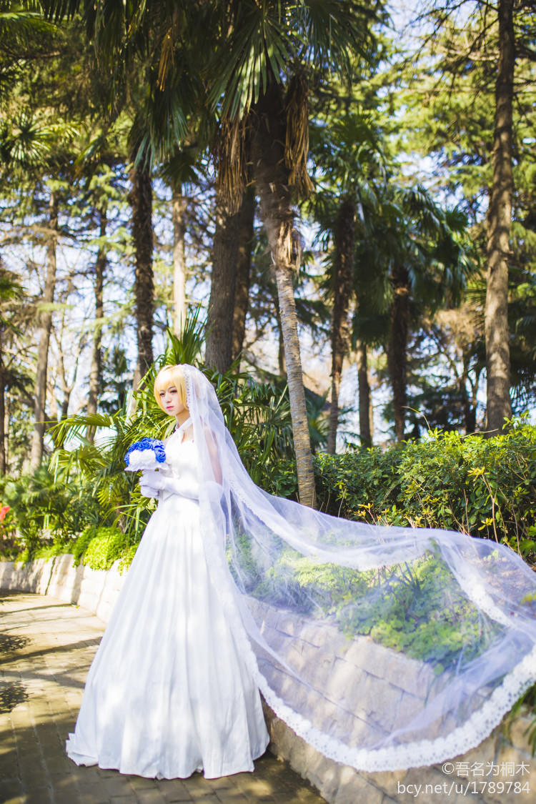花嫁saber (1)