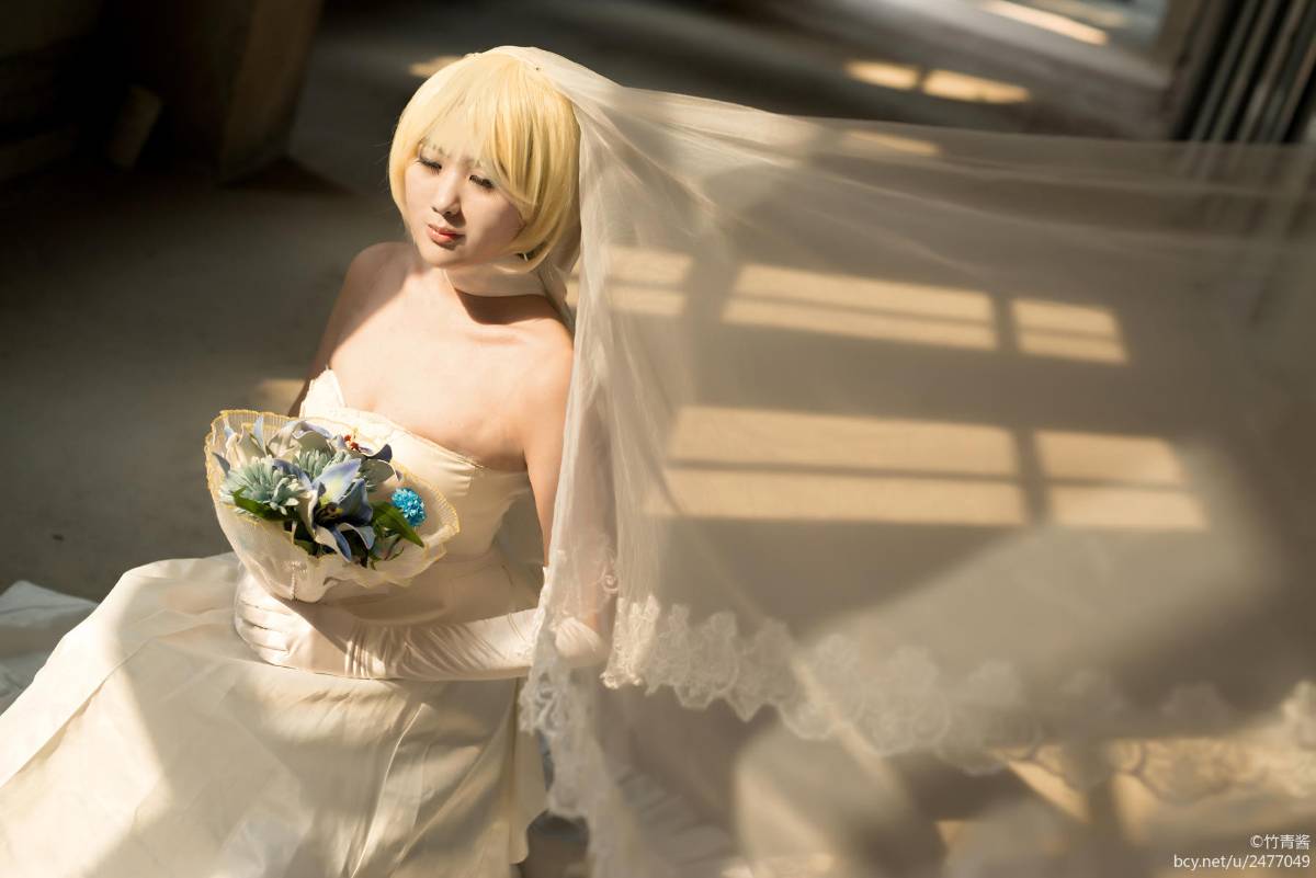 saber花嫁TYPE-MOON10周年纪念版 (10)