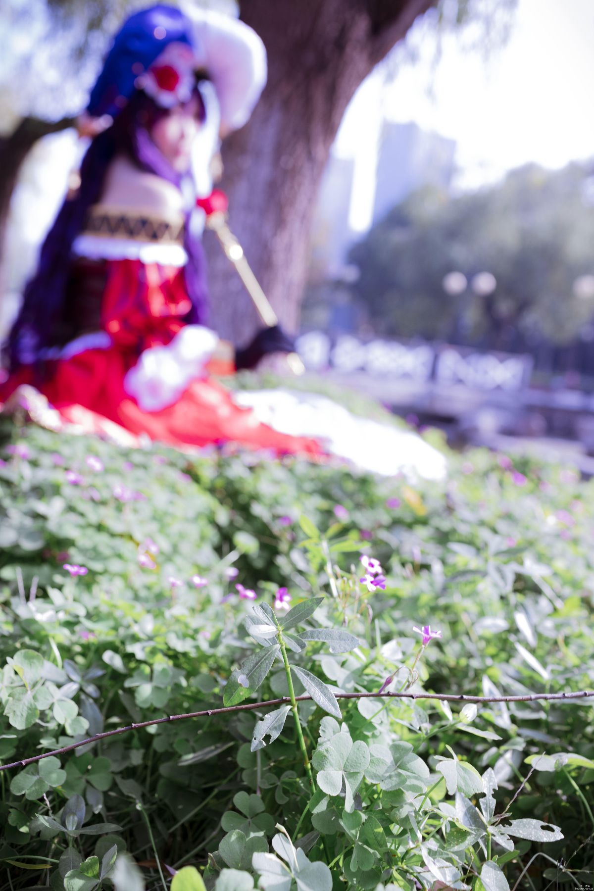 nozomi tojo☆ (3)