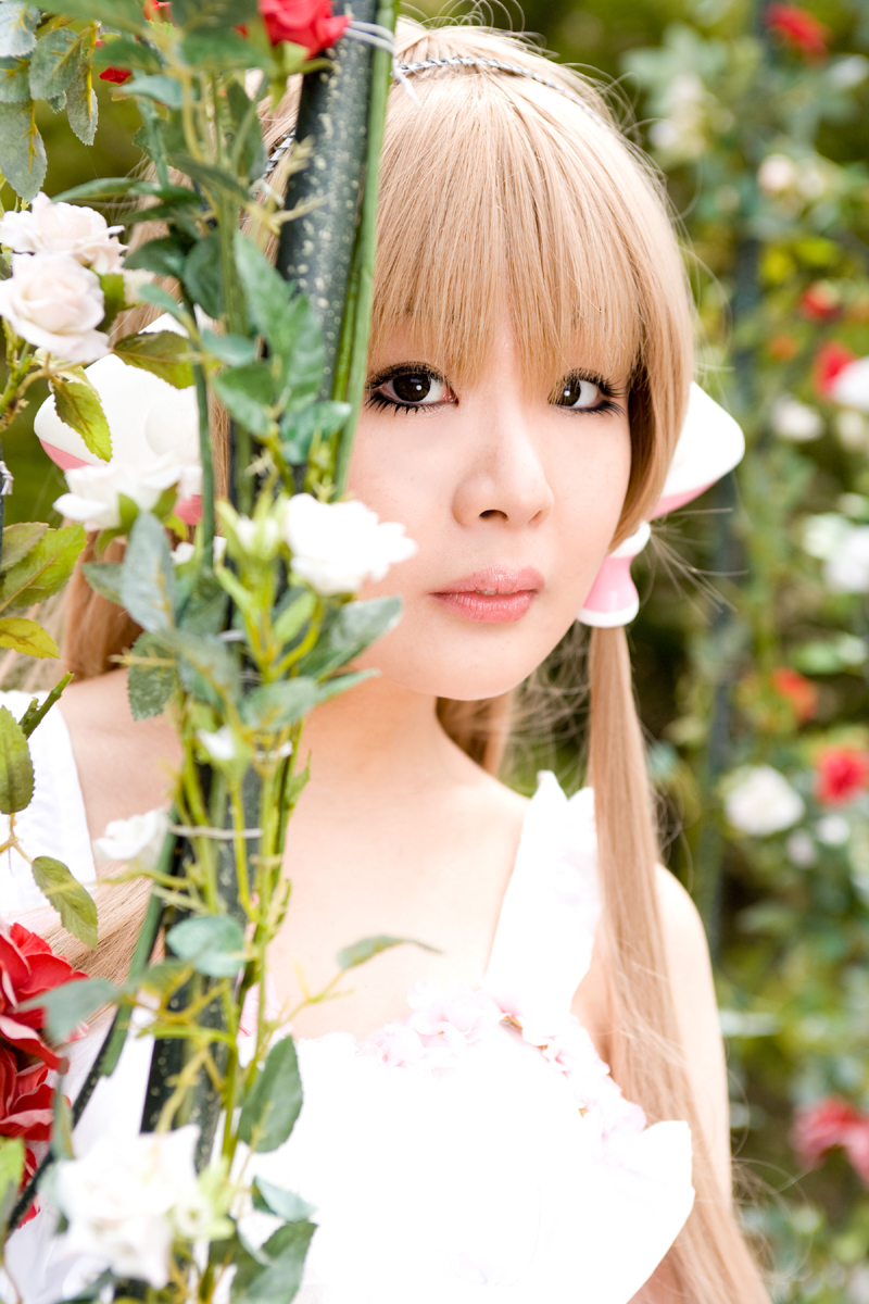 chiiE003