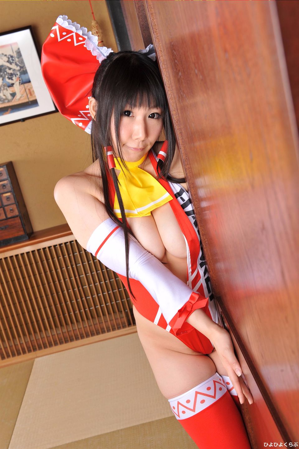 reimuRQ220