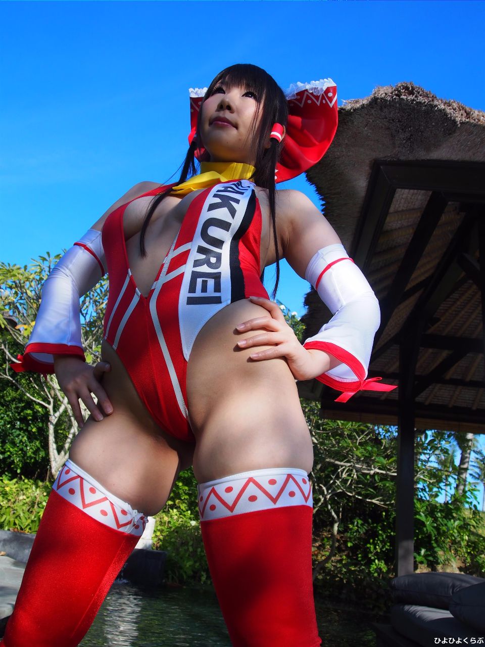 reimuRQ295