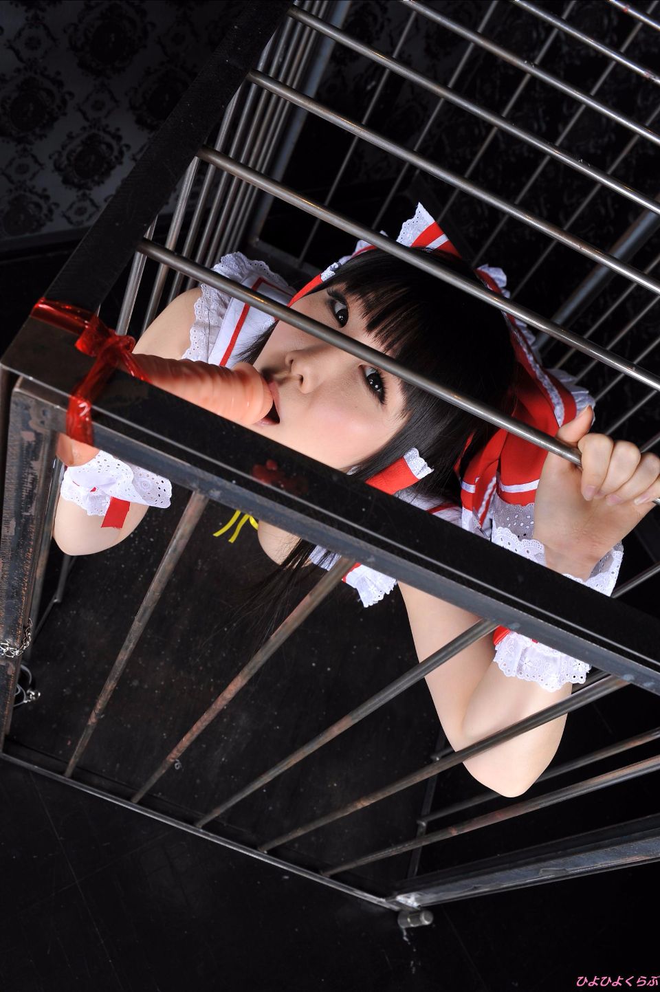 reimu_nikonD3463