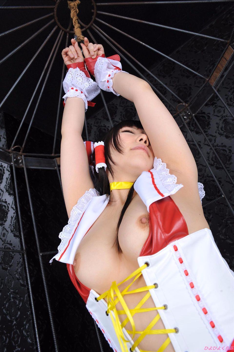 reimu_nikonD3531