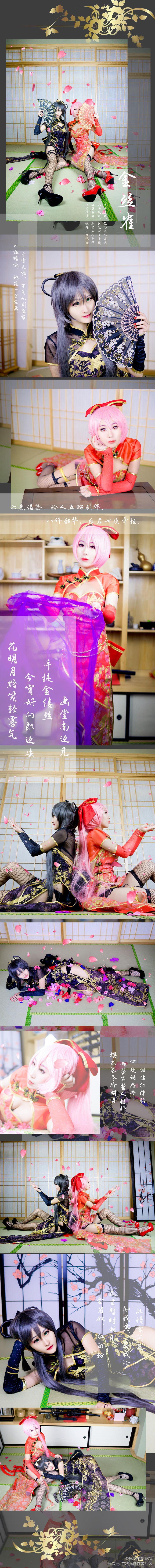 洛天依金丝雀 (163)