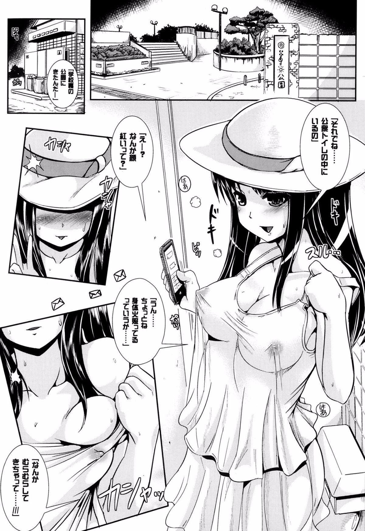 P333
