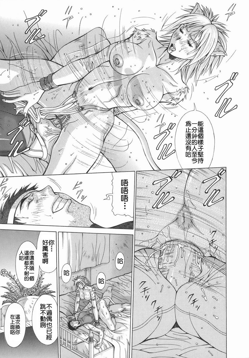 2D_023_elf_041