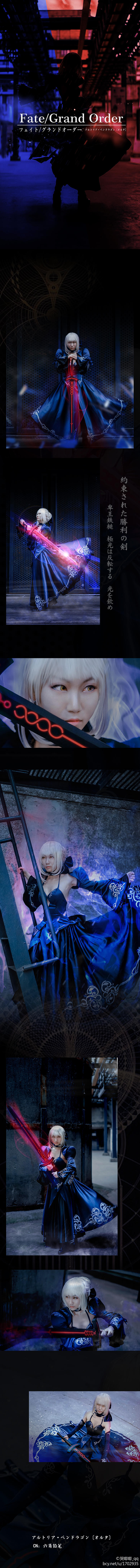 吾王saber (10)