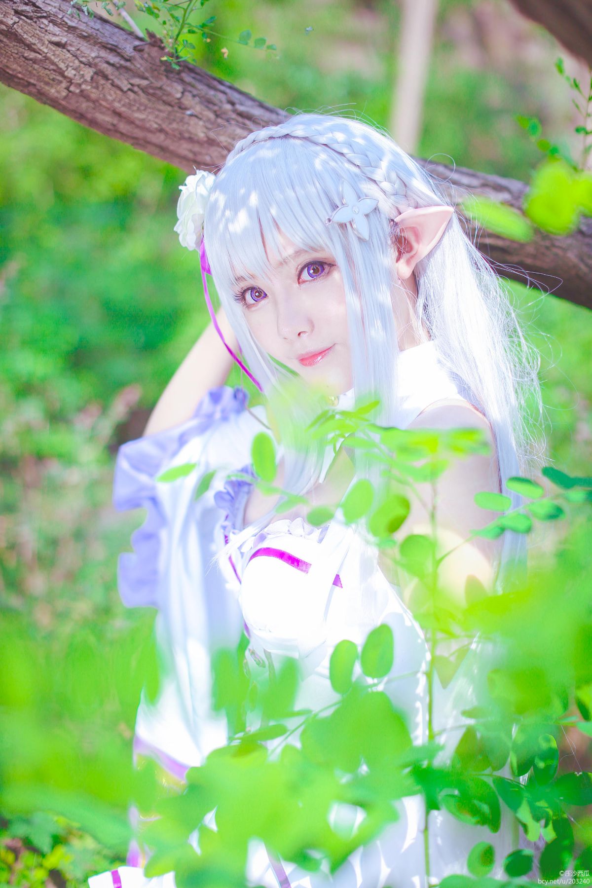 Re.从零开始的异世界生活 艾米莉娅 (14)
