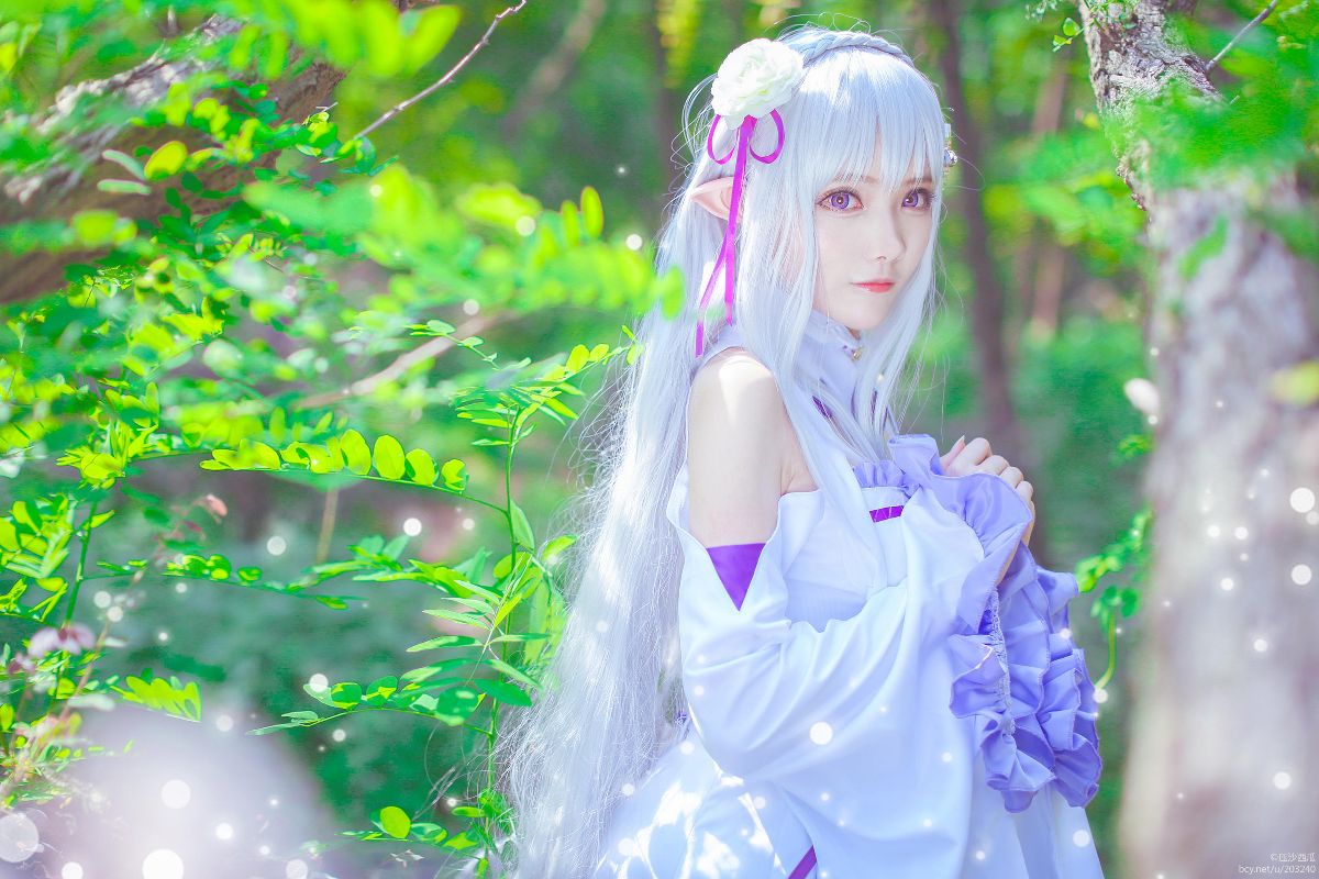 Re.从零开始的异世界生活 艾米莉娅 (17)