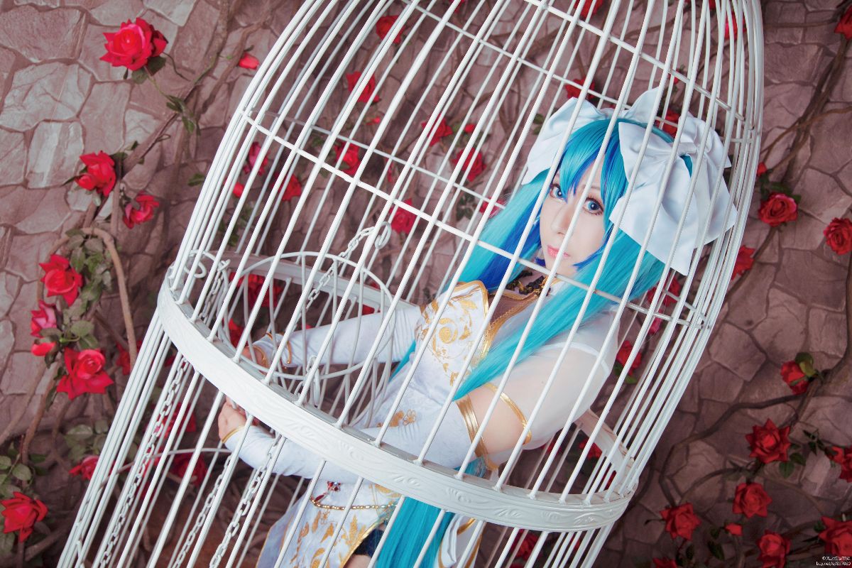 初音未来笼中雀C O S (11)