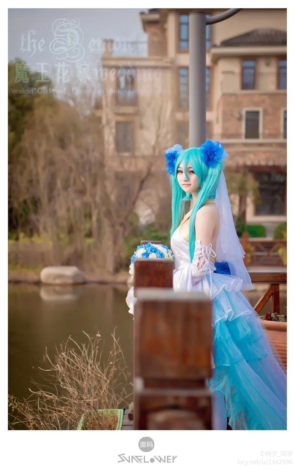 【请和我结婚吧】初音魔王花嫁 (8)