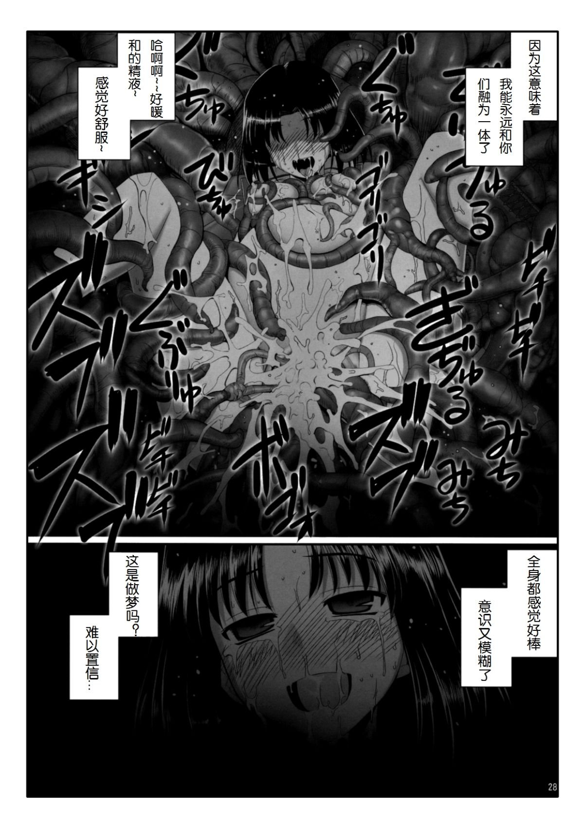 27_Page_27