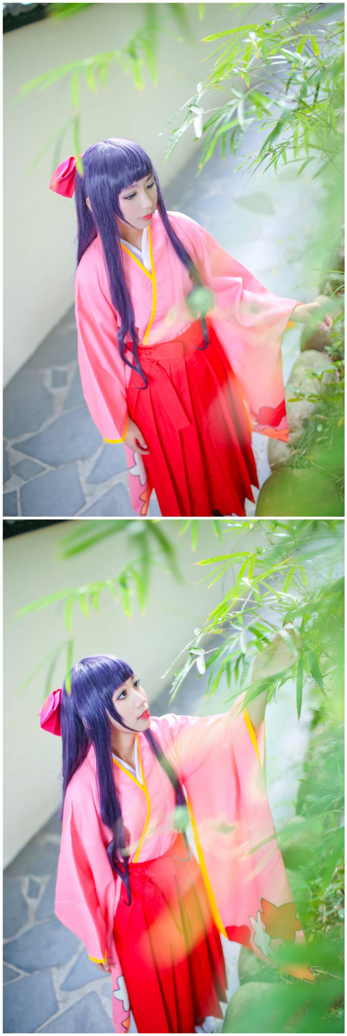 小樱知世#行灯袴# (12)