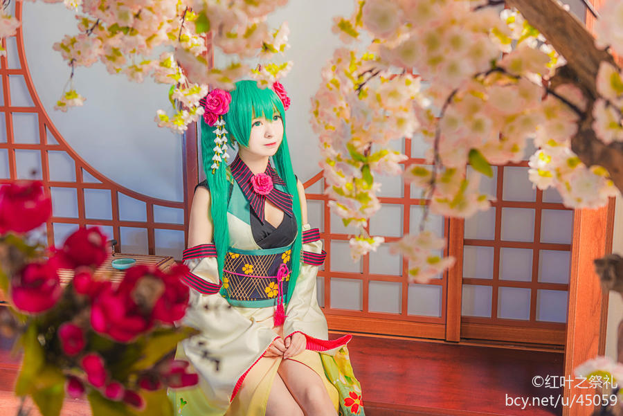 miku 异国的歌姬 雏菊和服 (4)