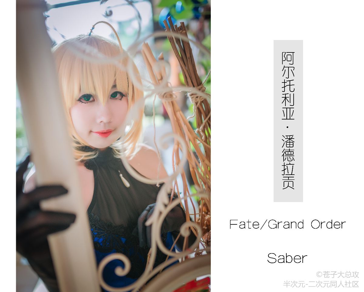 saber蓝礼 (7)