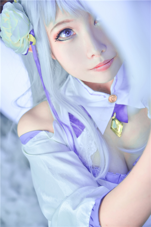 《从零开始》爱蜜莉雅 (2)