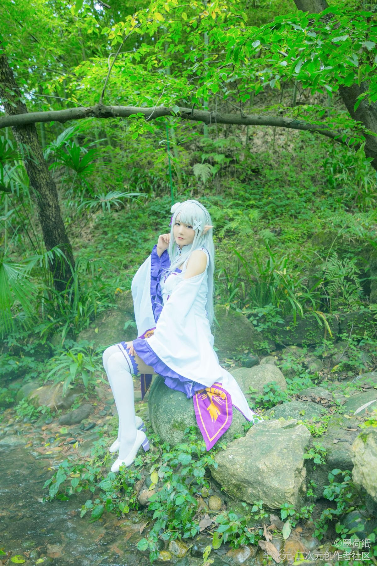 Re:从零开始的异世界生活Emilia 爱蜜莉雅 (8)