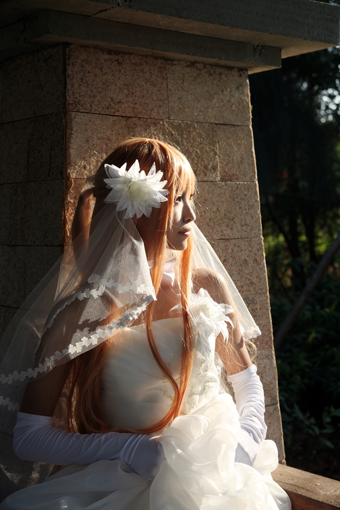 ★ 刀剑神域 ★ 婚纱ver (9)