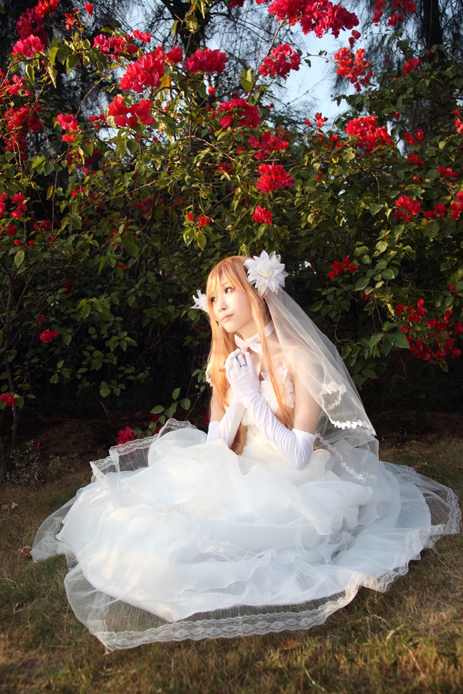 ★ 刀剑神域 ★ 婚纱ver (11)