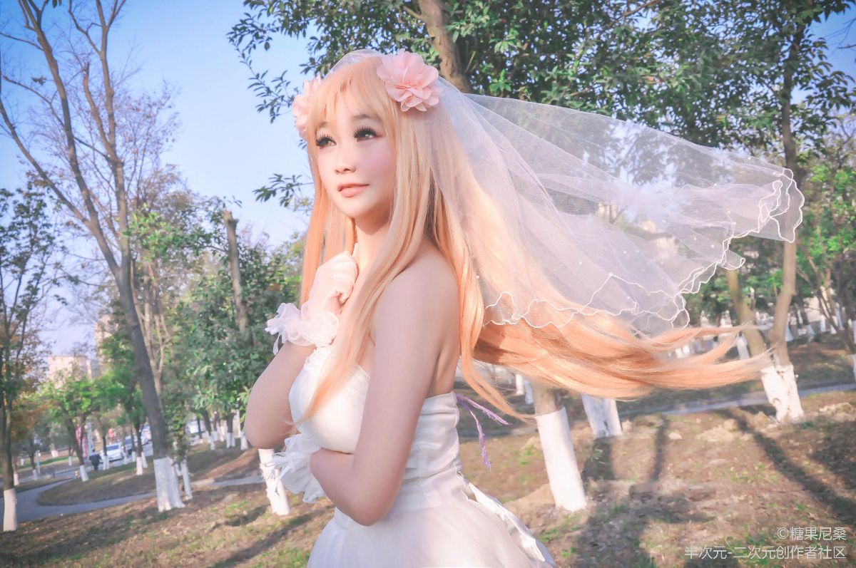 ★ 刀剑神域 ★ 婚纱ver (43)