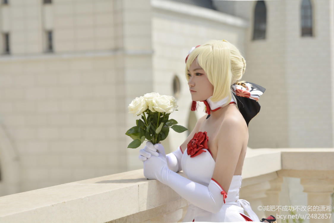 fate saber仙鹤 (1)