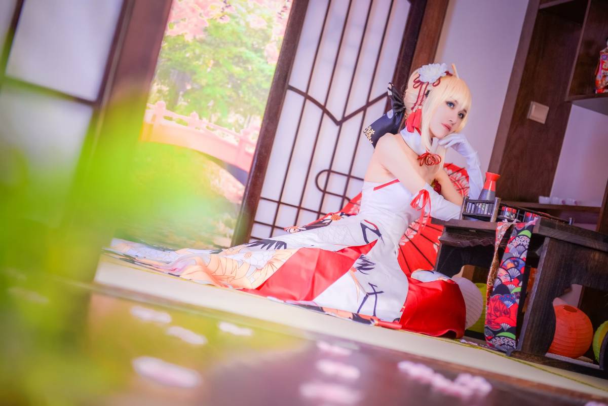 fate saber仙鹤 (14)