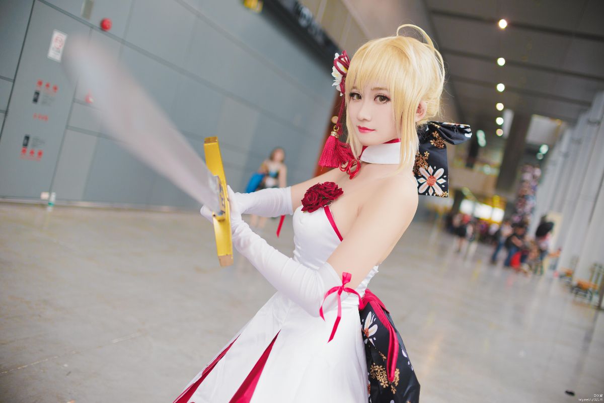 Saber 阿尔托莉雅 潘德拉贡 仙鹤礼服 (2)