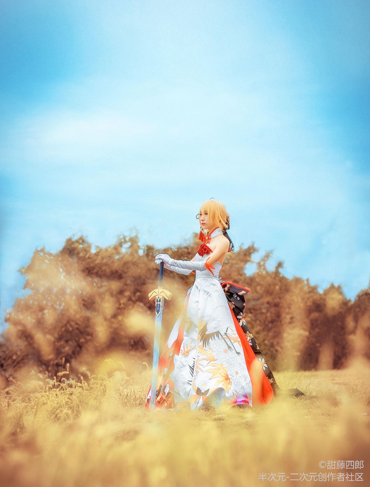 仙鹤saber cos正片 (9)