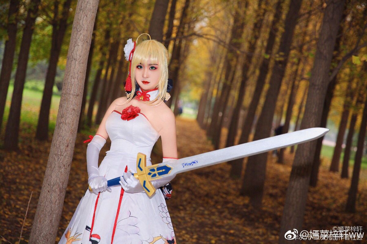 Saber 仙鹤礼服 (13)