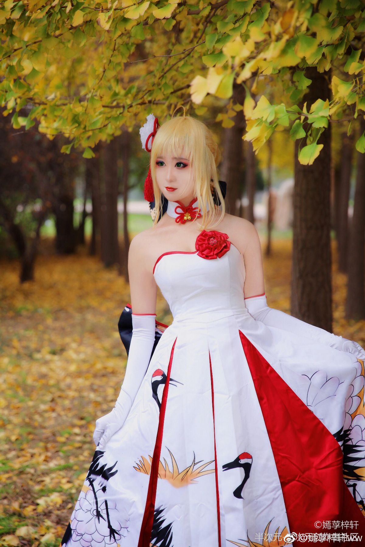 Saber 仙鹤礼服 (23)