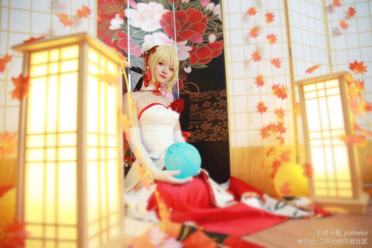 Saber 仙鹤礼服 (3)