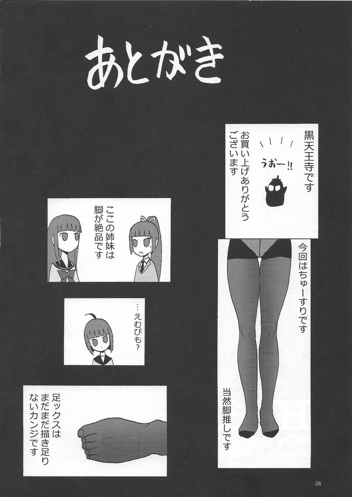 ScanImage27