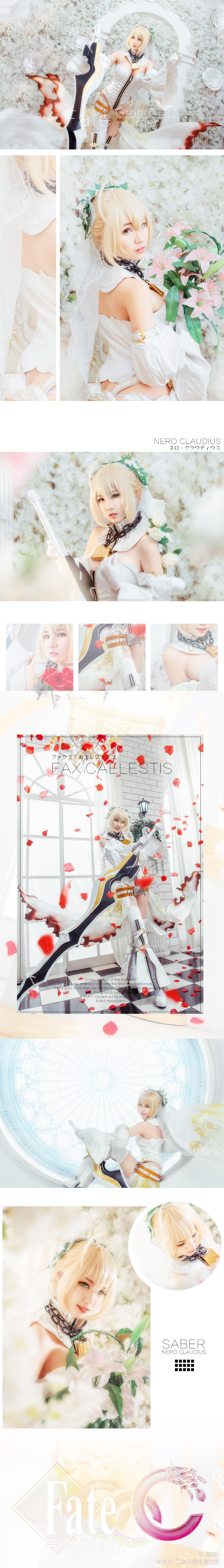 FateExtra CCC—尼禄花嫁 (2)