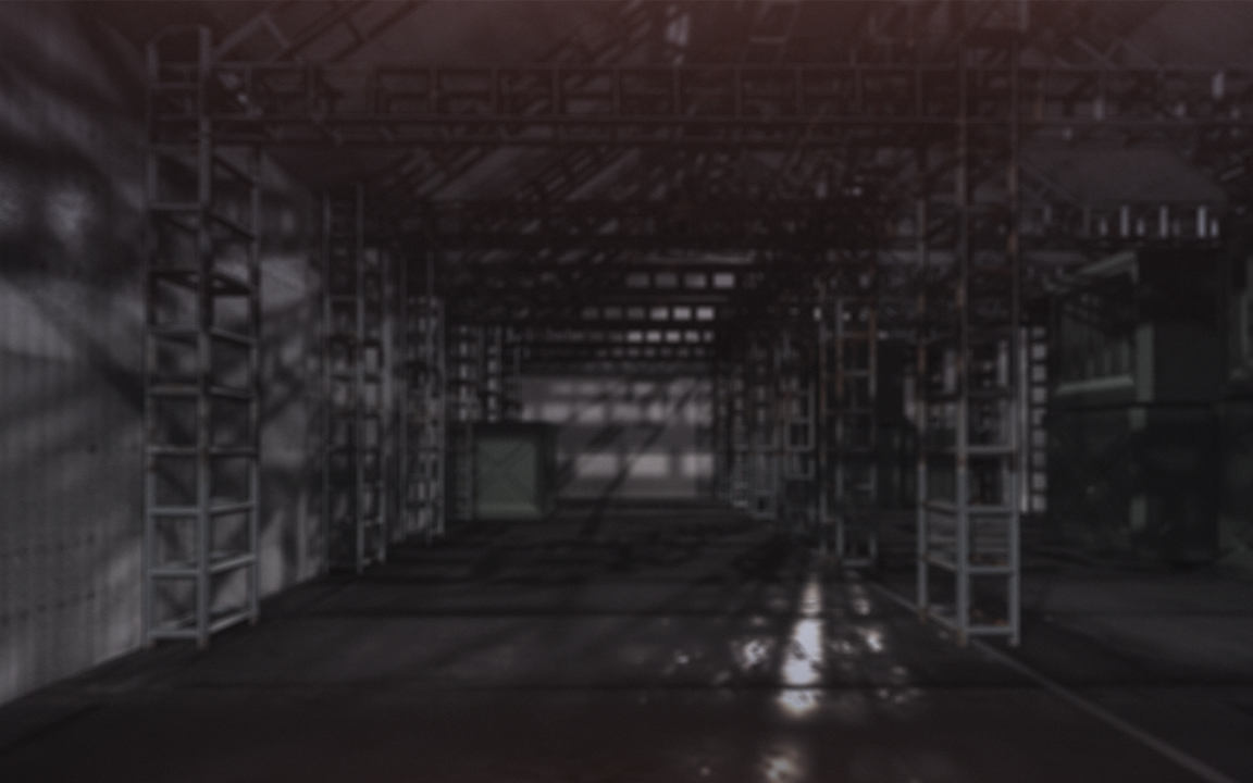 1748_bg207a
