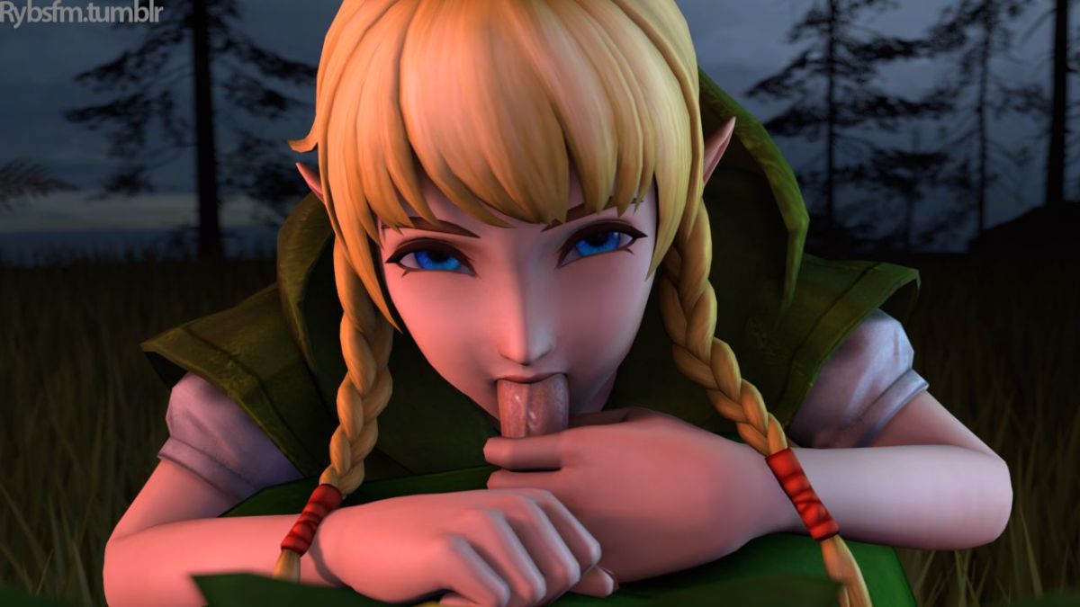 1893059_Hyrule_Warriors_Legend_of_Zelda_Link_Linkle_Ryb_source_filmmaker