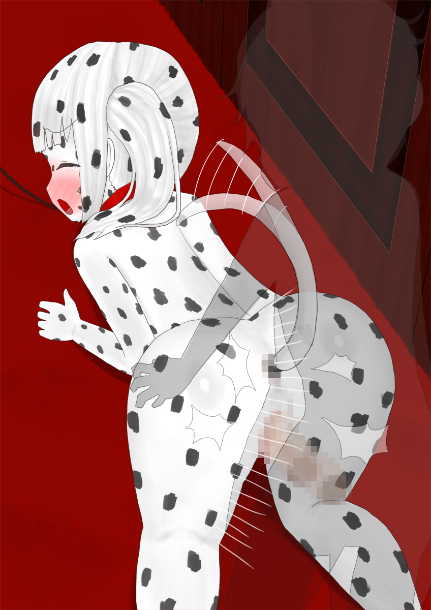 264_bx06_05