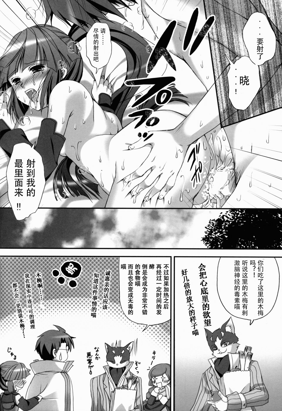 14_megane14